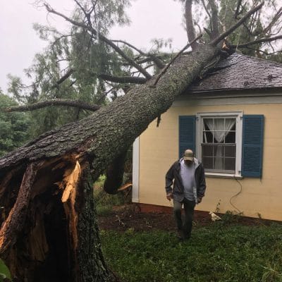 The neighbor's tree has fallen on the house