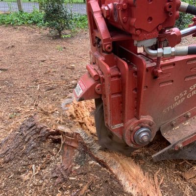 A stump grinder removing a stump