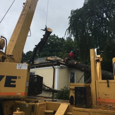 storm-response-1 A crane removing a tree from a house