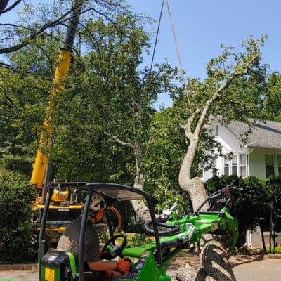 Man using a crane to remove a tree from a house