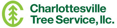 Charlottesville Tree Service