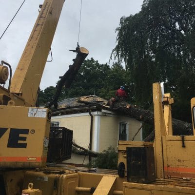 A crane removing a tree from a house