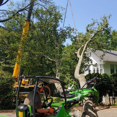 storm-response-2 Man using a crane to remove a tree from a house